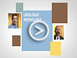 Urologic Pathology